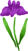 CXgP