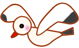 CXgP