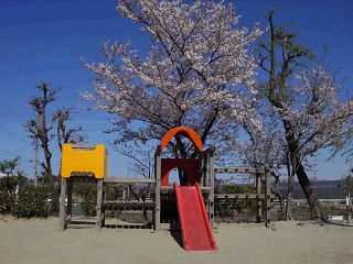 �ʐ^�P