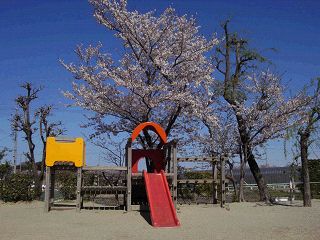 �ʐ^�P