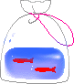 CXgR