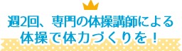 週2回、専門の体操講師による体操で体力づくりを！