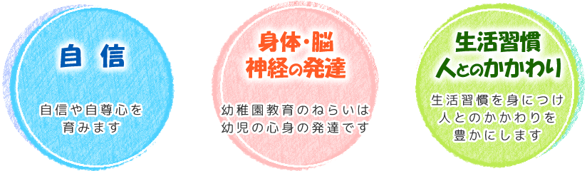 自身　身体・脳　神経の発達　生活習慣　人とのかかわり