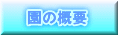̊Tv