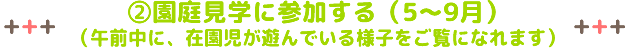 園庭見学に参加する（5～7月）（午前在園児が遊んでいる様子をご覧になれます）