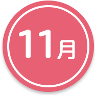 11月