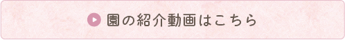 園の紹介動画はこちら