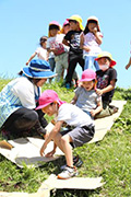 土手あそび(以上児)