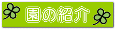 園の紹介 