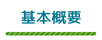 基本情報