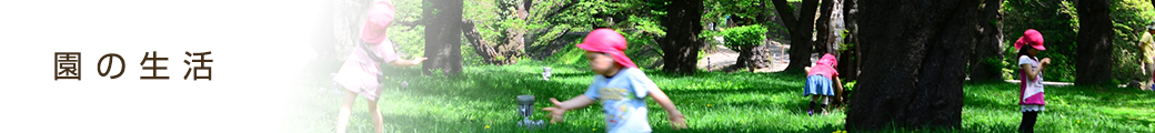 デイリープログラム