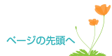 ページの先頭へ戻る