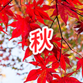 秋