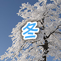 冬
