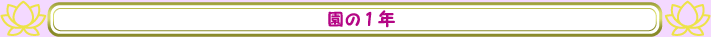 1N