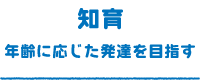 年齢に応じた発達を目指す（知育）