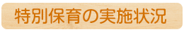 特別保育の実施状況