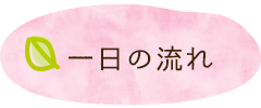 一日の流れ