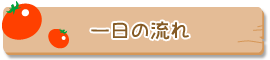 一日の流れ