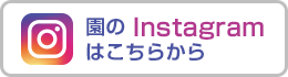 園のInstagramはこちらから