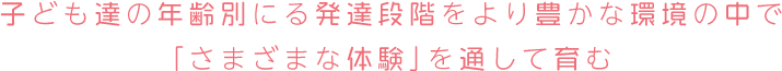 子ども達の年齢別にる発達段階をより豊かな環境の中で「さまざまな体験」を通して育む