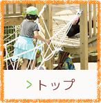 トップ