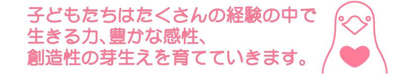 子どもたちはたくさんの経験の中で