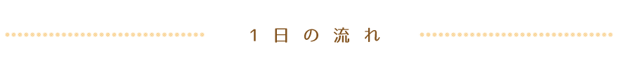 1日の流れ