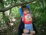 2006-09-14 (Thu) ̉摜