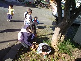 2006-11-18 (Sat) ̉摜