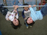 2006-12-20 (wed) ̉摜