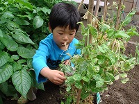 2007-07-05 (thu) ̉摜