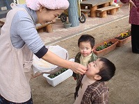 2007-12-26 (Wed) ̉摜
