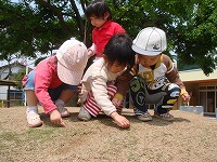 2008-05-17 (Sat) ̉摜