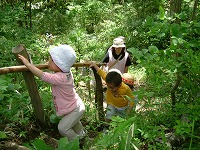 2008-06-05 (Thu) ̉摜