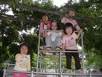 2008-06-25 (Wed) ̉摜