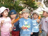 2008-10-20 (Mon) ̉摜