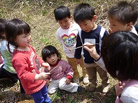 2009-04-16 (Thu) ̉摜