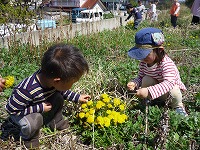 2009-04-22 (Wed) ̉摜