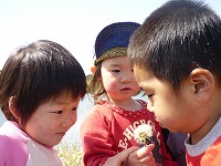 2009-04-24 (Fri) ̉摜