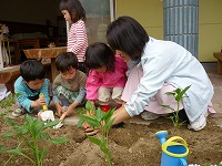 2009-05-12 (tue) ̉摜