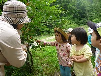 2009-06-04 (Thu) ̉摜