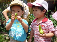 2009-07-11 (Sat) ̉摜