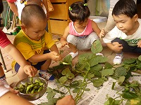 2009-08-11(tue) ̉摜