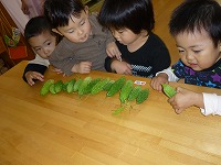 2009-10-08 (Thu) ̉摜
