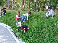 2009-10-24 (Sat) ̉摜