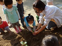2009-10-29 (Thu) ̉摜