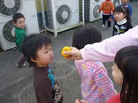 2010-01-04 (mon) ̉摜