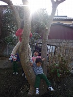 2010-01-06 (thu) ̉摜