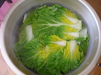 2010-01-13 (Wed) ̉摜